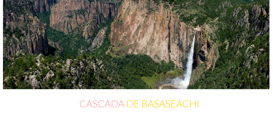 BASASEACHI